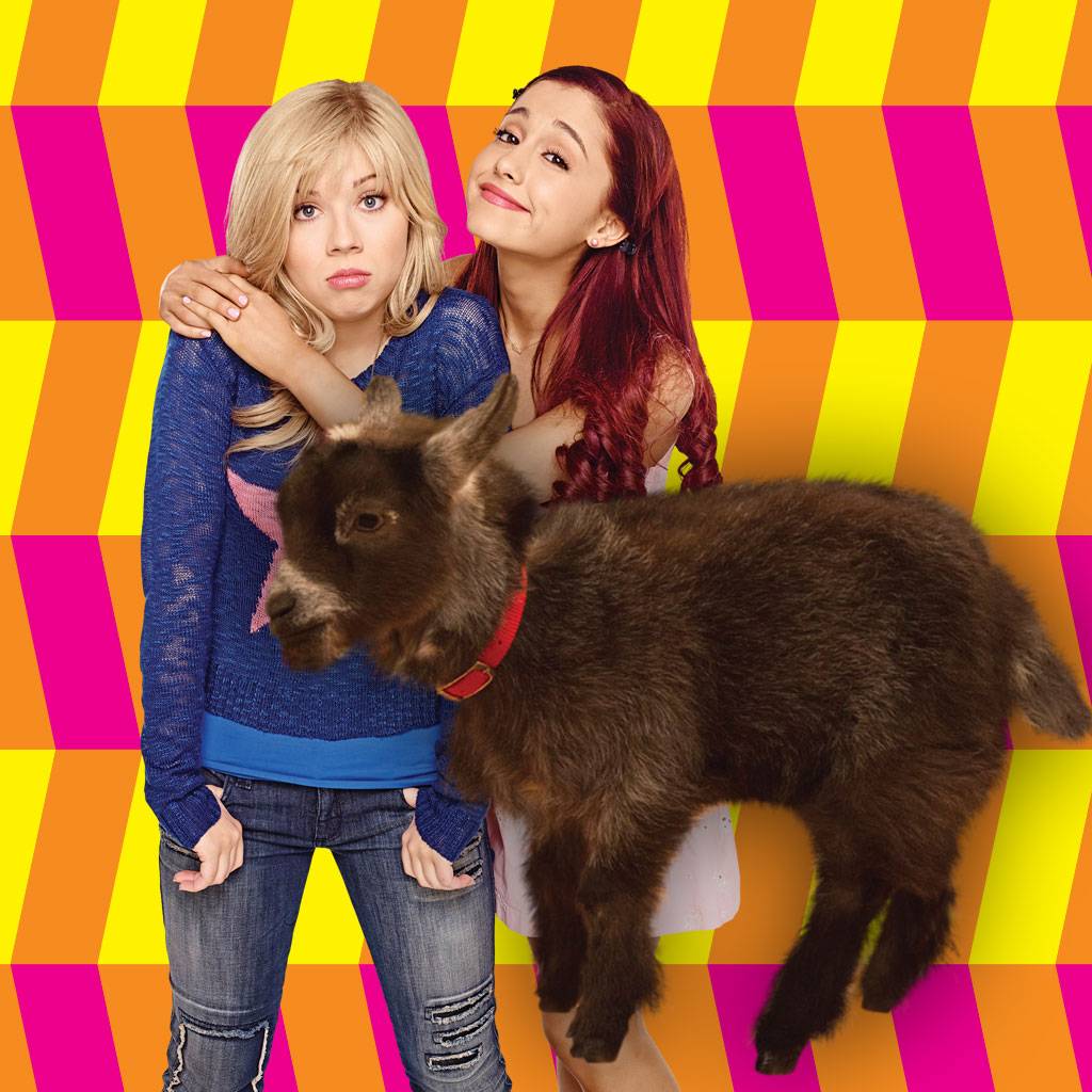 Sam Y Cat Short Sam Y Cat ¡una Cabra En El Set Sam Y Cat Clips Nickelodeon 