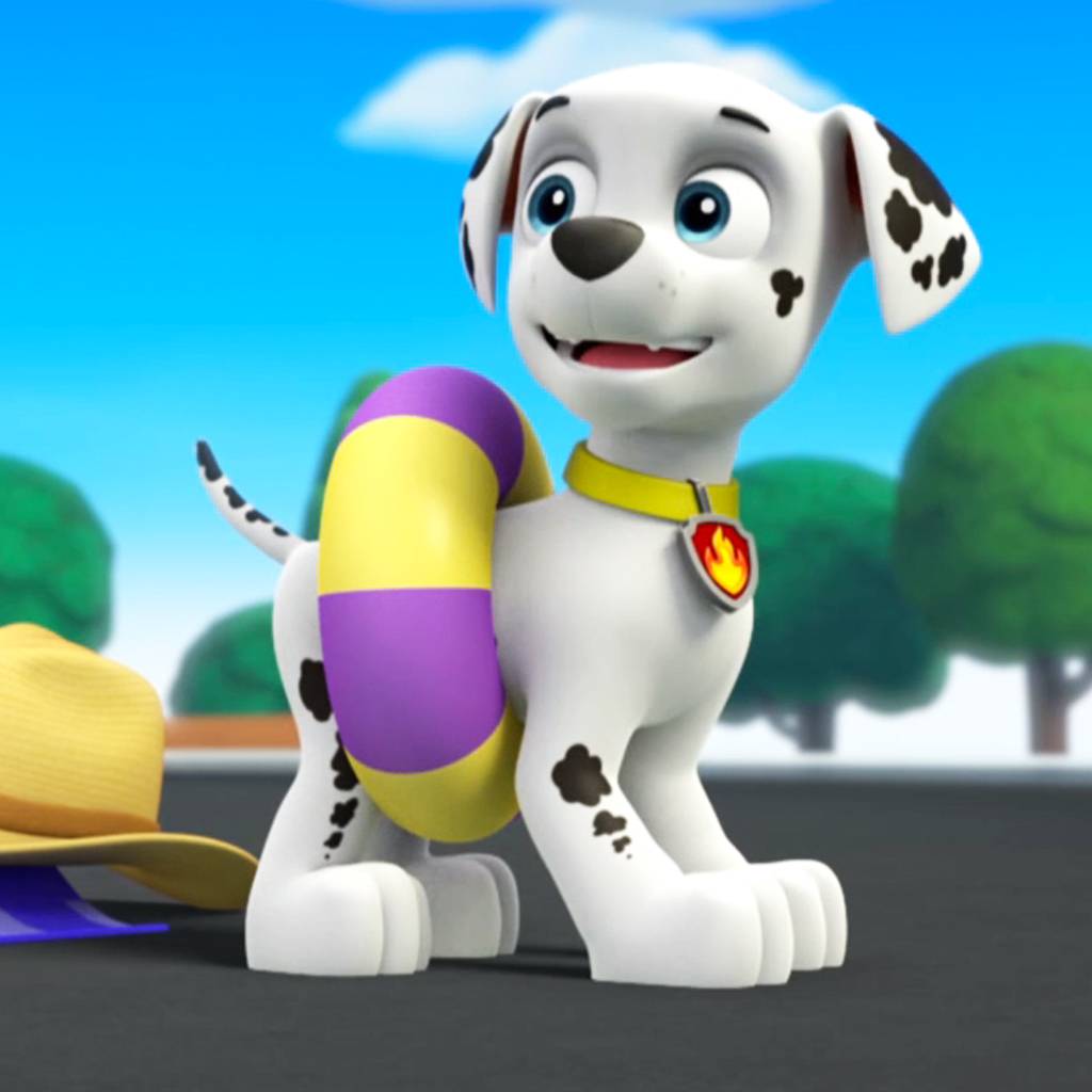 PAW Patrol - 1, Ep. Pups redden een Zwemdag / Circus Pupformers - Full Episode | Nickelodeon