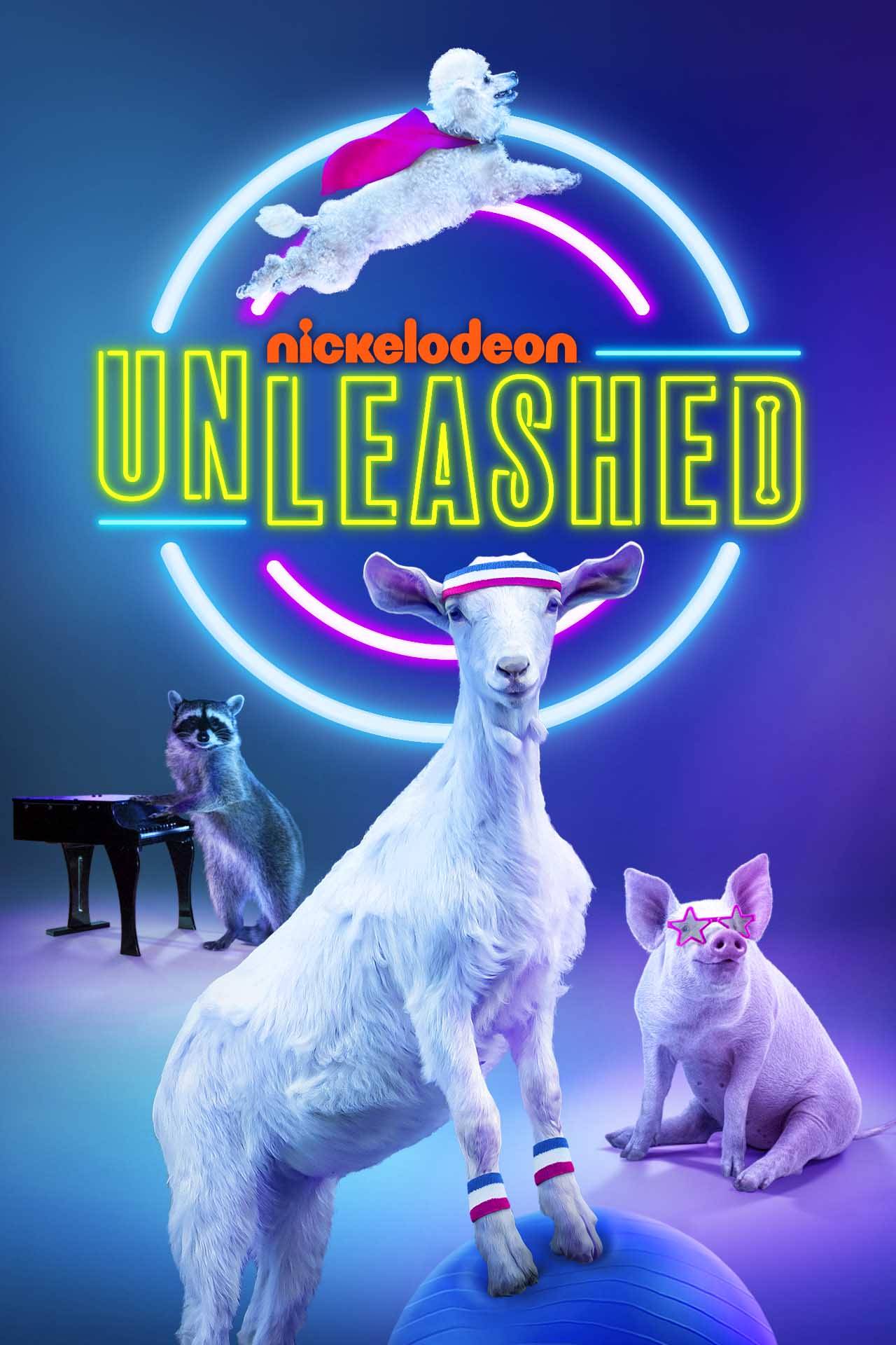 Unleashed - Season - TV Series | Nick